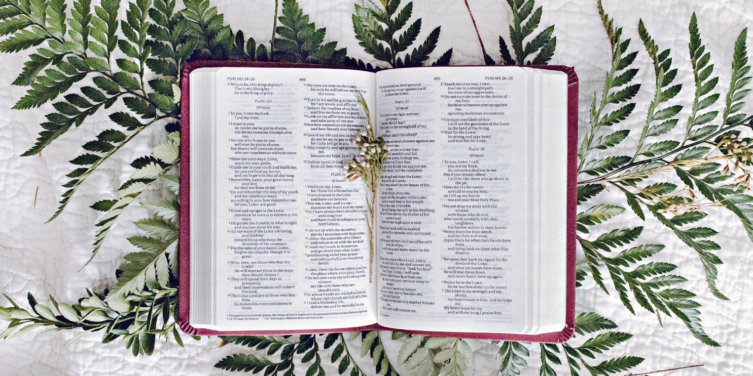 Bible Open - Soulshine Christian section
