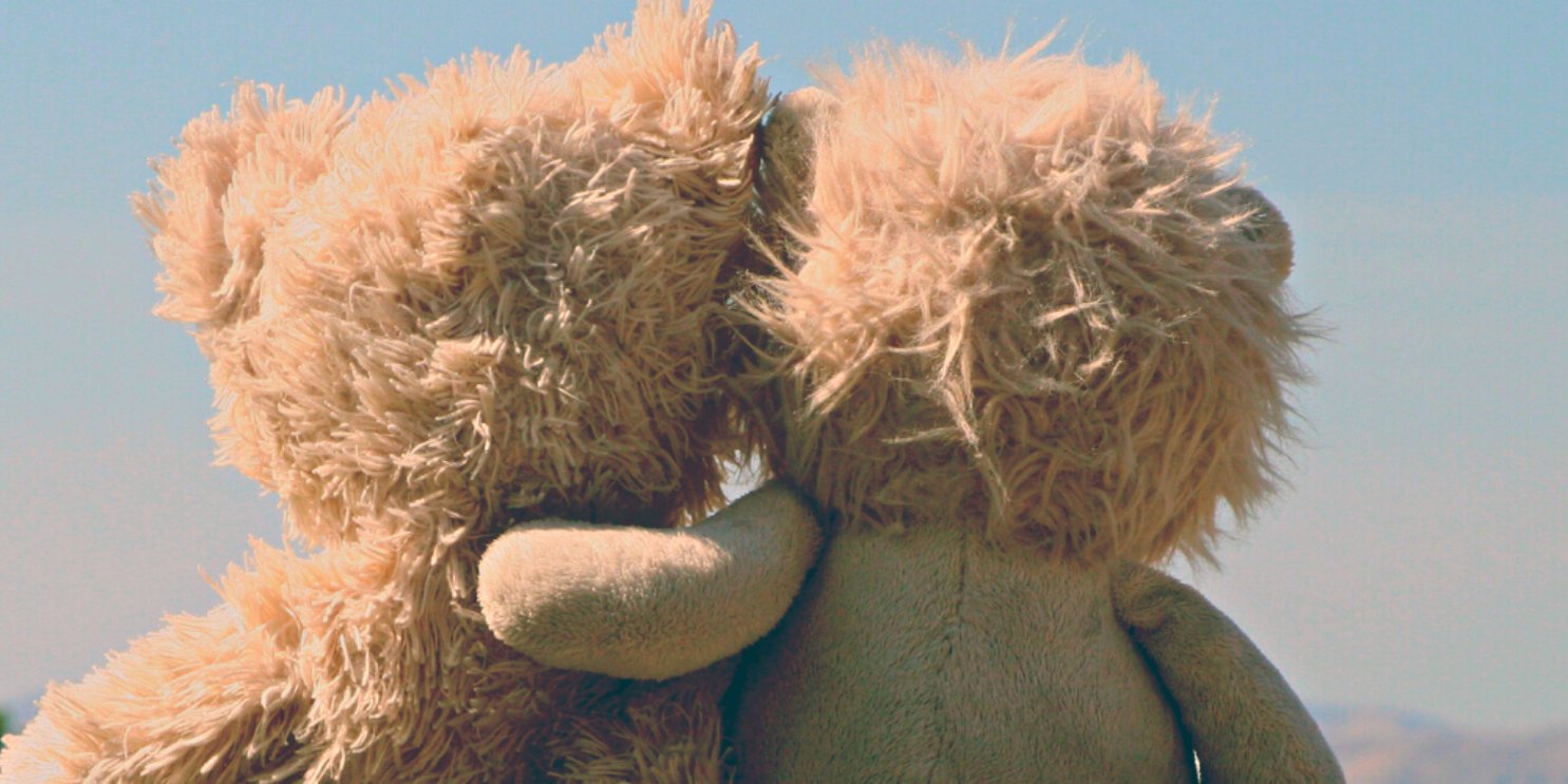 Two Teddy Bears Holding Each Other While Watching the Sky - Soulshine's Toys and Games