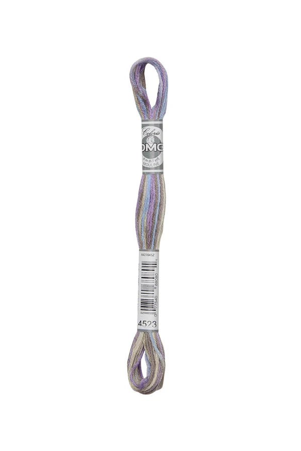DMC Coloris 6-Strand 4500
