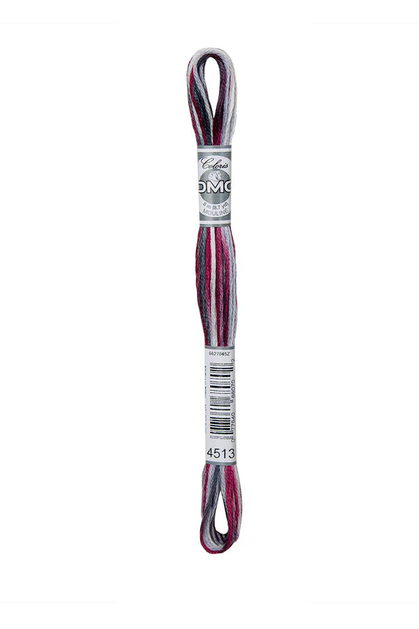 DMC Coloris 6-Strand 4500