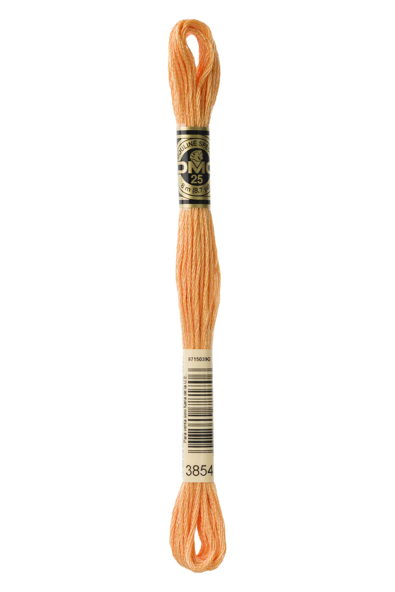 DMC Thread Yellow's / Orange's