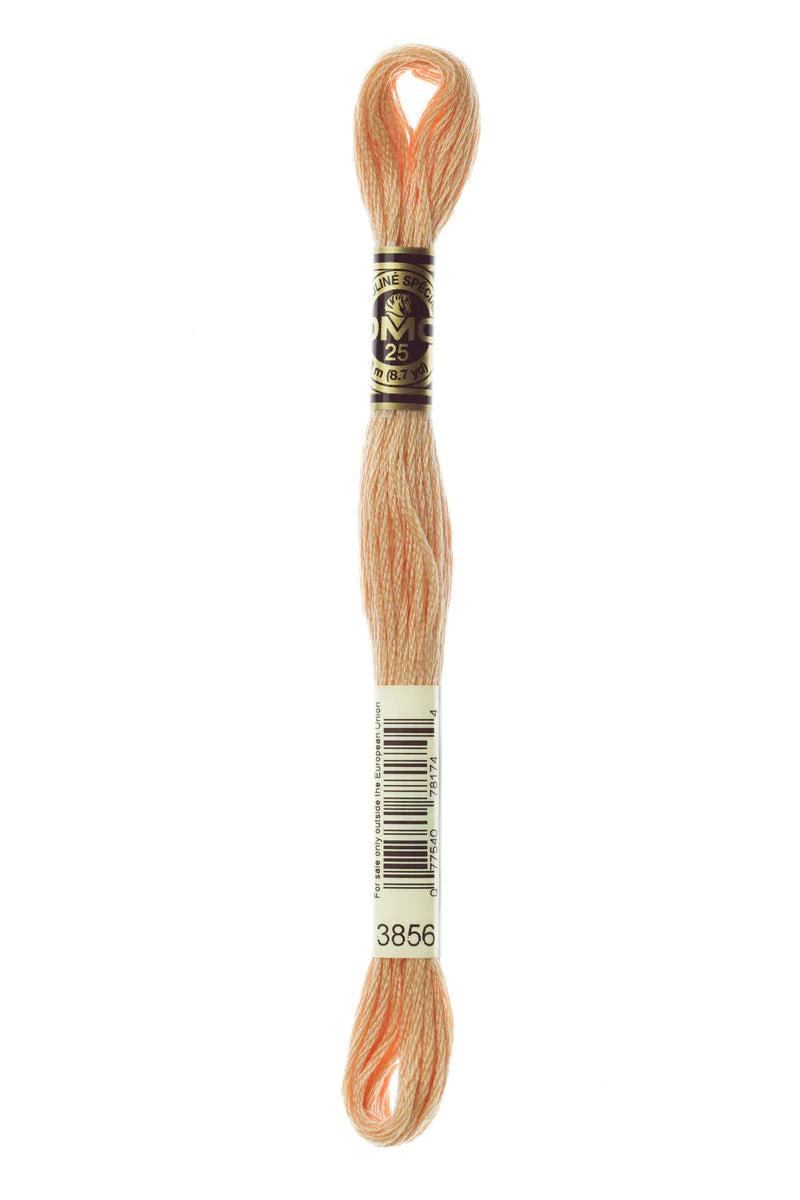 DMC Thread Brown's
