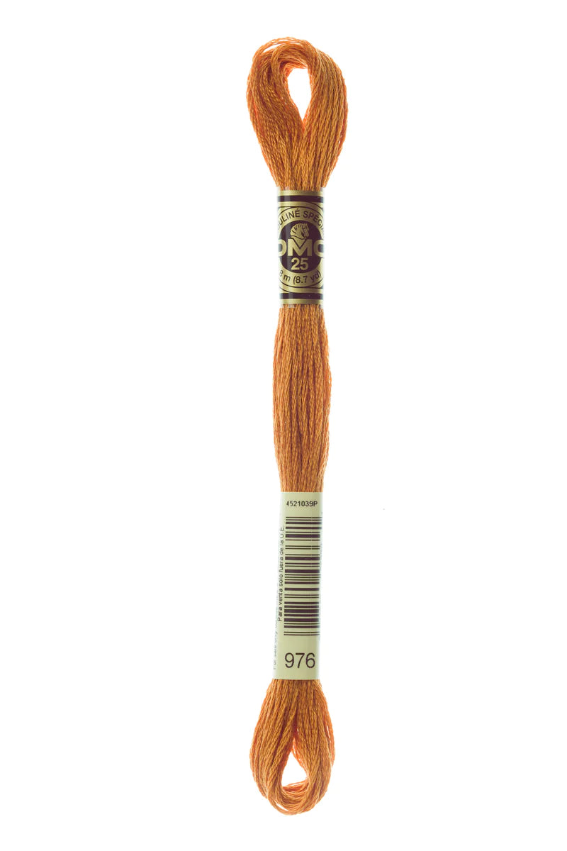 DMC Thread Brown's