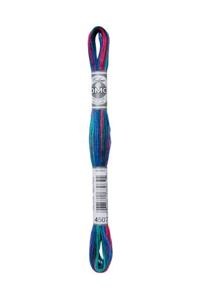 DMC Coloris 6-Strand 4500