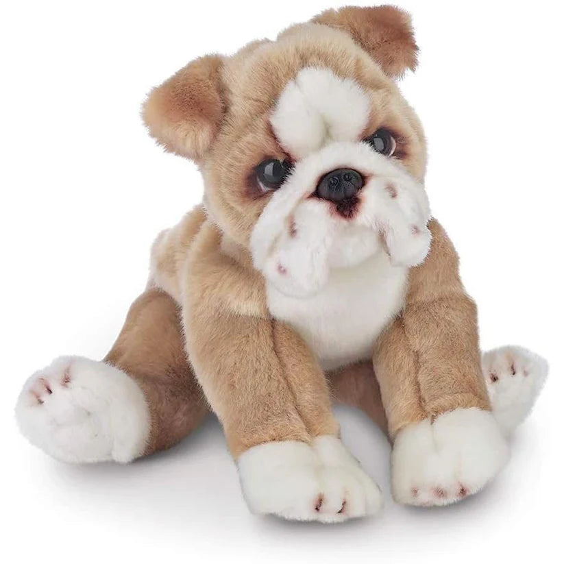 Bearington Collection : Bulldog Tug 13"