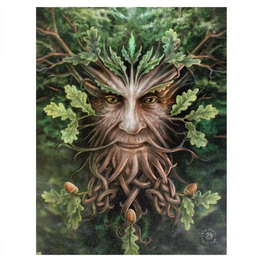 Something Different Wholesale 19x25cm Oak King Canvas Plaque by Anne Stokes