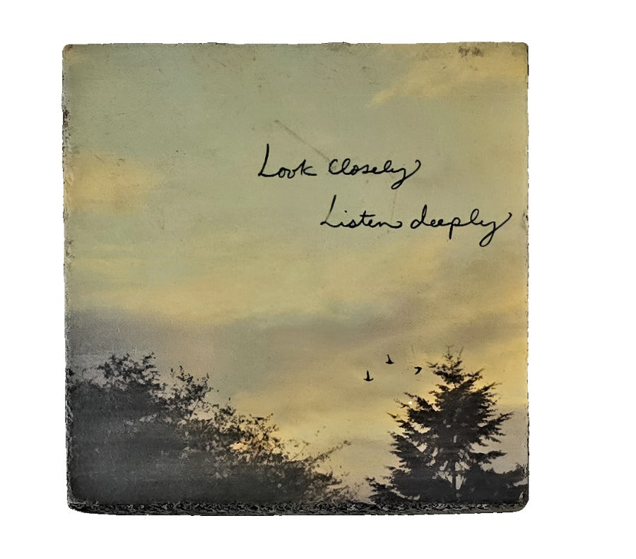 Look Closely Listen Deeply Mini