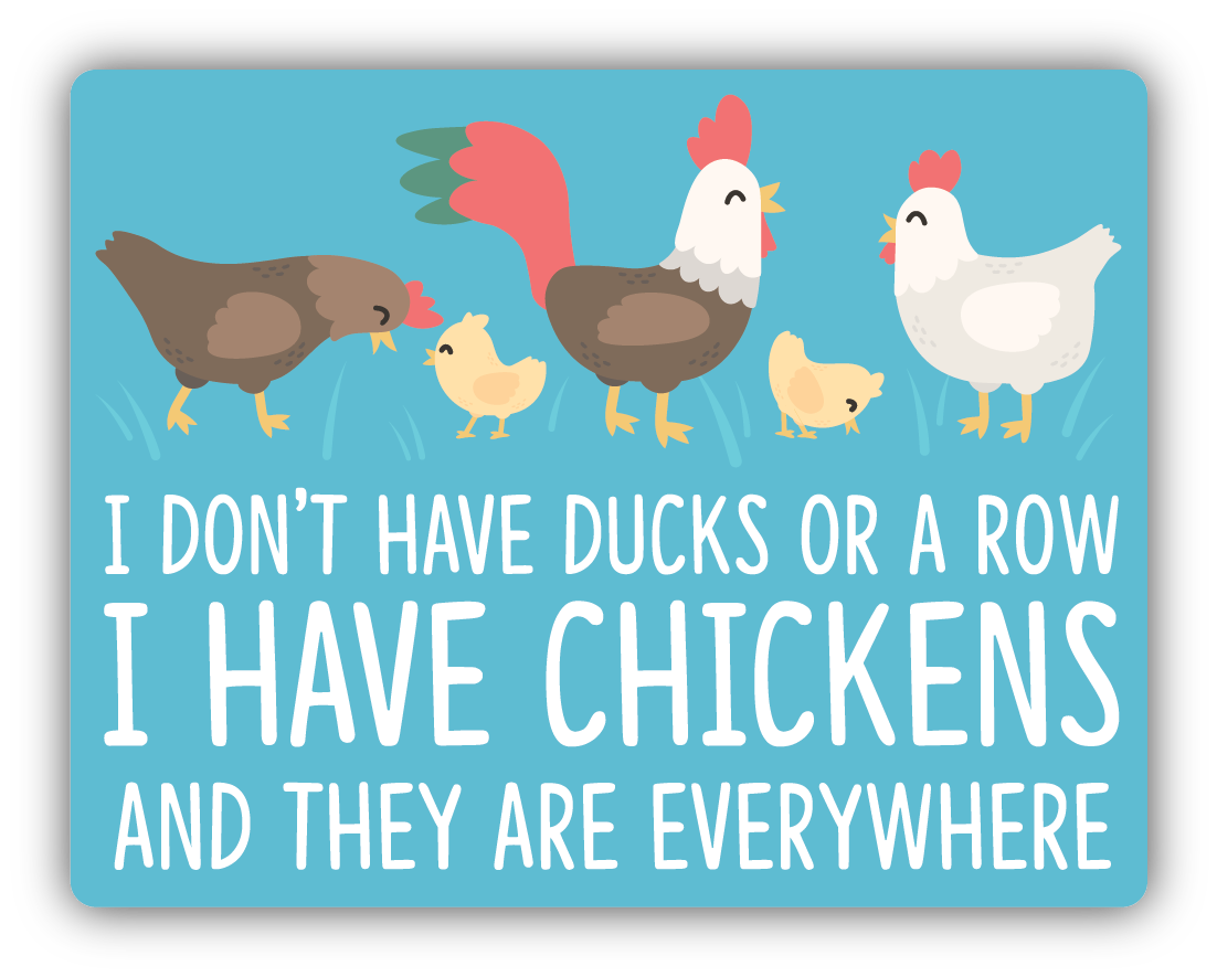 I Don't Have Ducks Or A Row I Have Chickens And They Are Everywhere Sticker