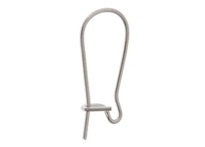 Kidney Earwire Surgical Steel 17x8mm