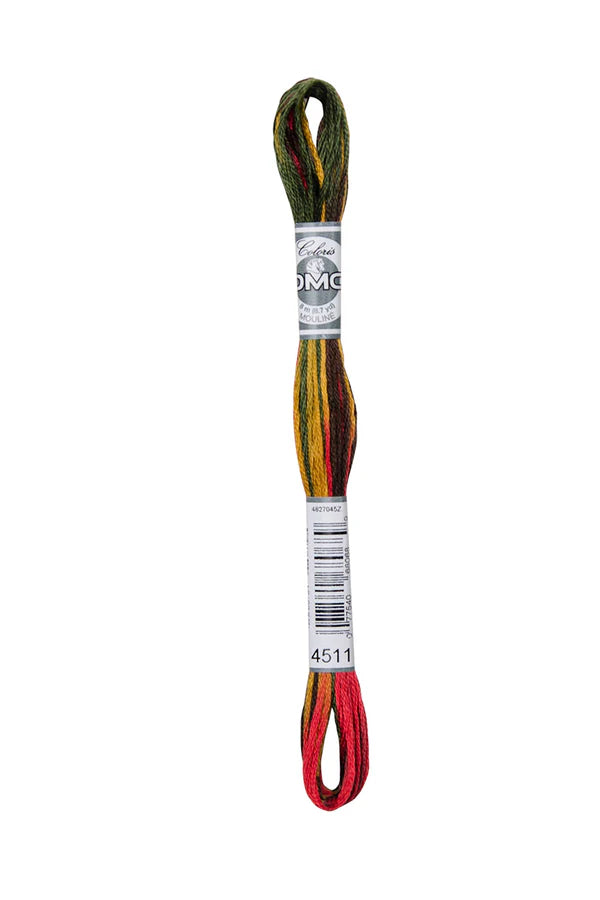 DMC Coloris 6-Strand 4500