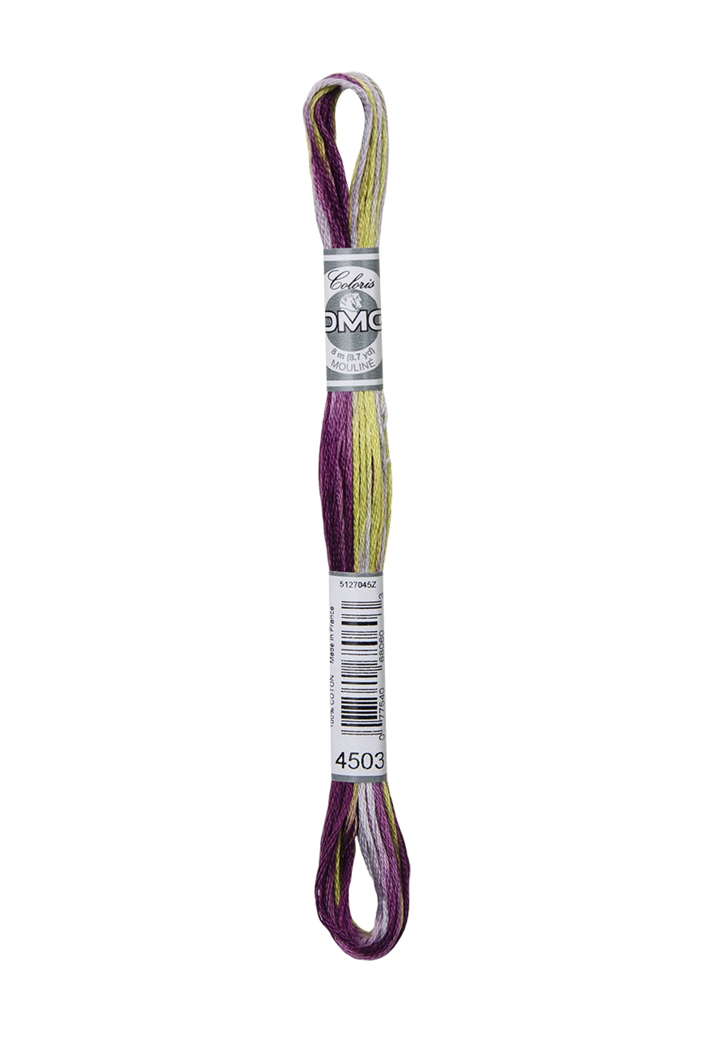 DMC Coloris 6-Strand 4500