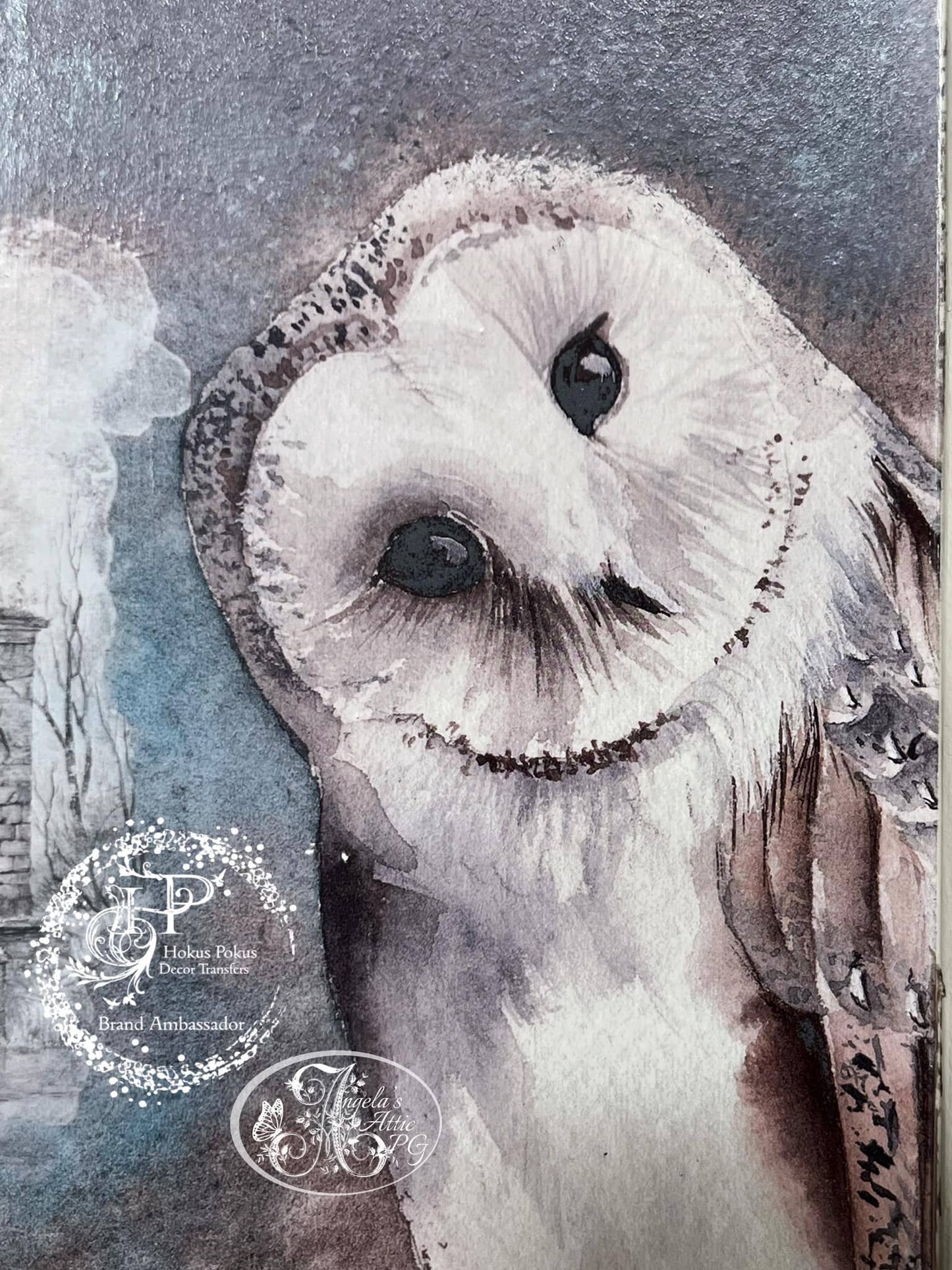 Hokus Pokus Transfer The Owl and the Buggy