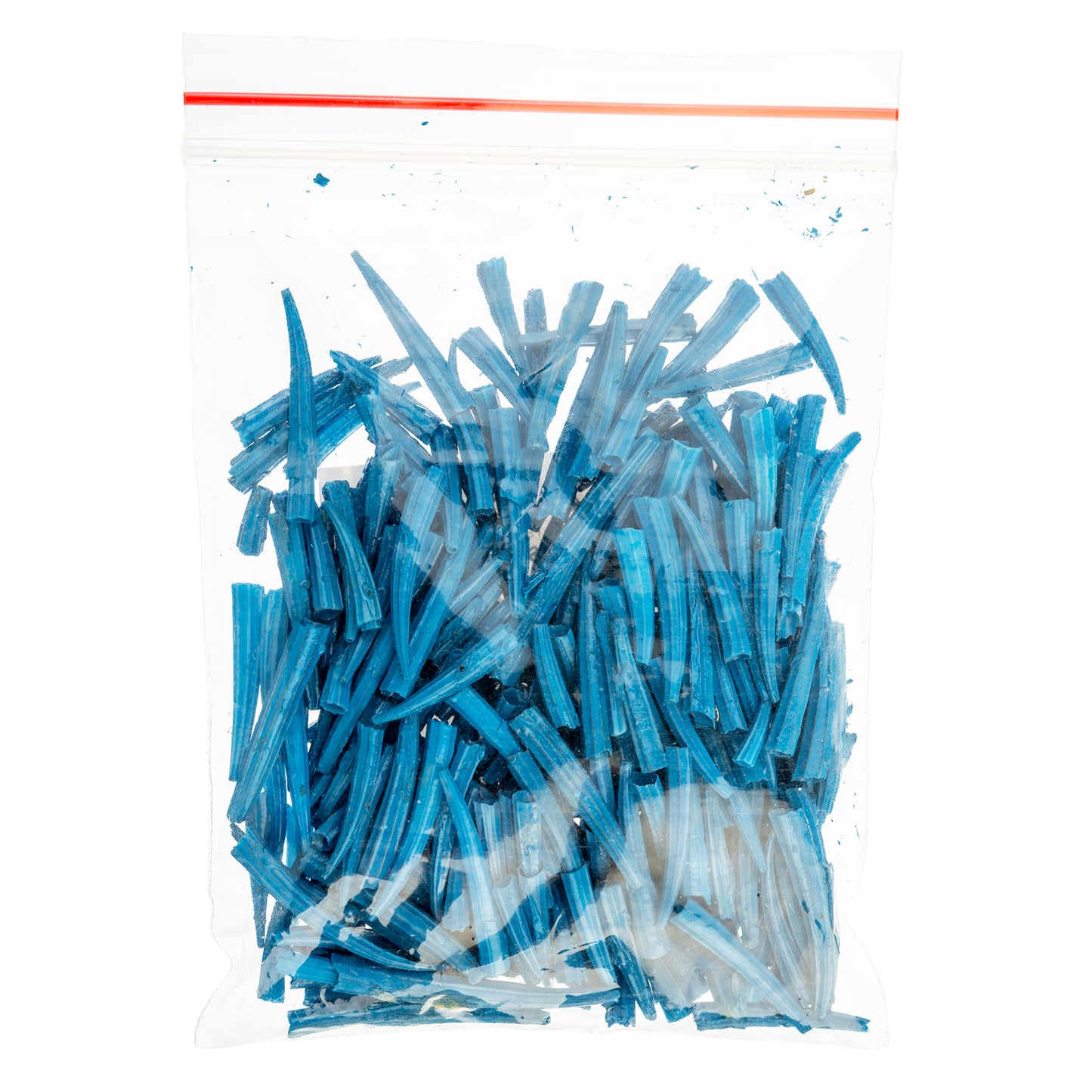 Dentalium Shell Ridged 100 pieces, Colour Variety