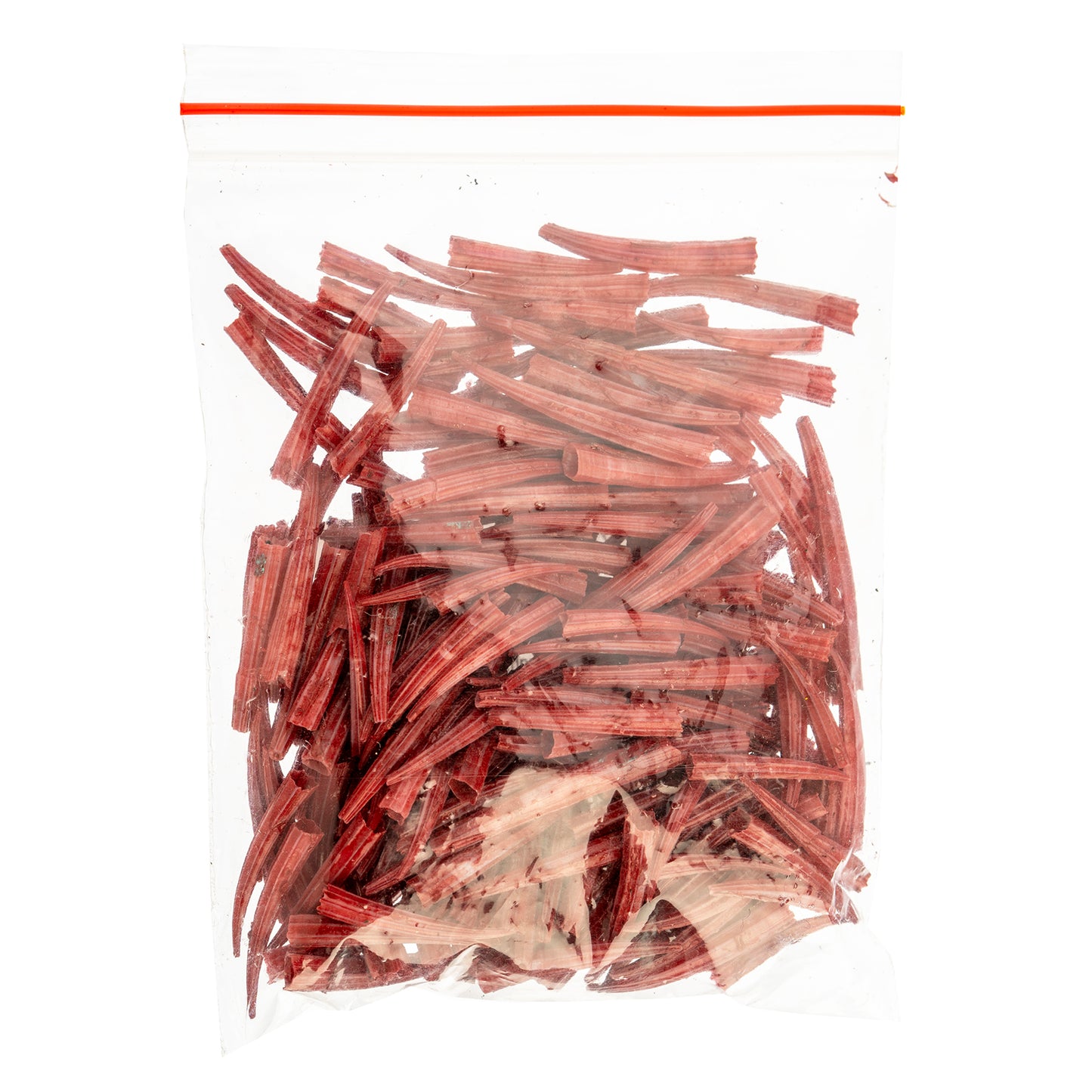 Dentalium Shell Ridged 100 pieces, Colour Variety