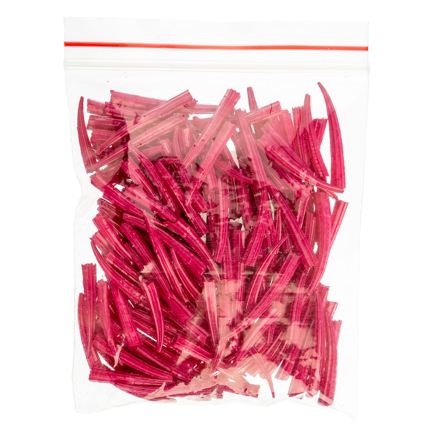 Dentalium Shell Ridged 100 pieces, Colour Variety