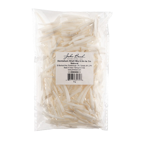 Dentalium Shell Ridged 100 pieces 0.5"-1"