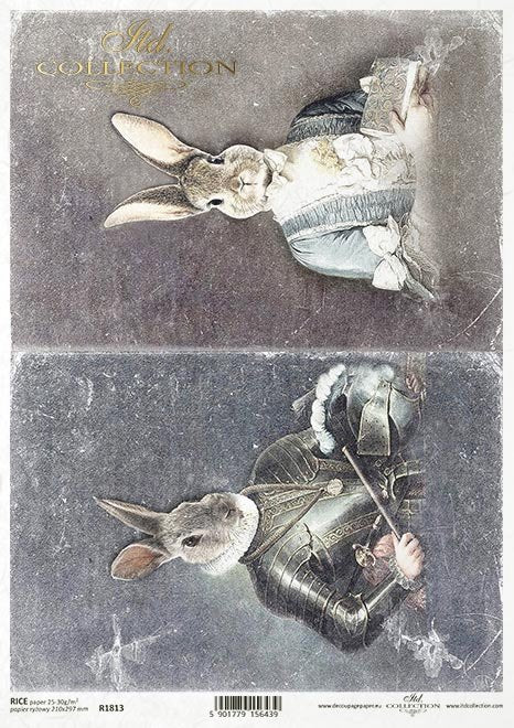 ITD Collection : Bunny Portraits