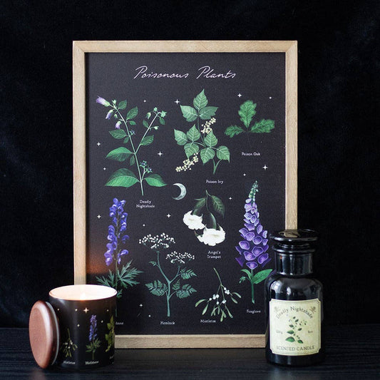 Something Different Wholesale Poisonous Plants Gothic Botanical Framed Wall Art Print