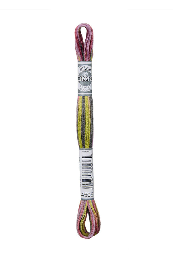 DMC Coloris 6-Strand 4500