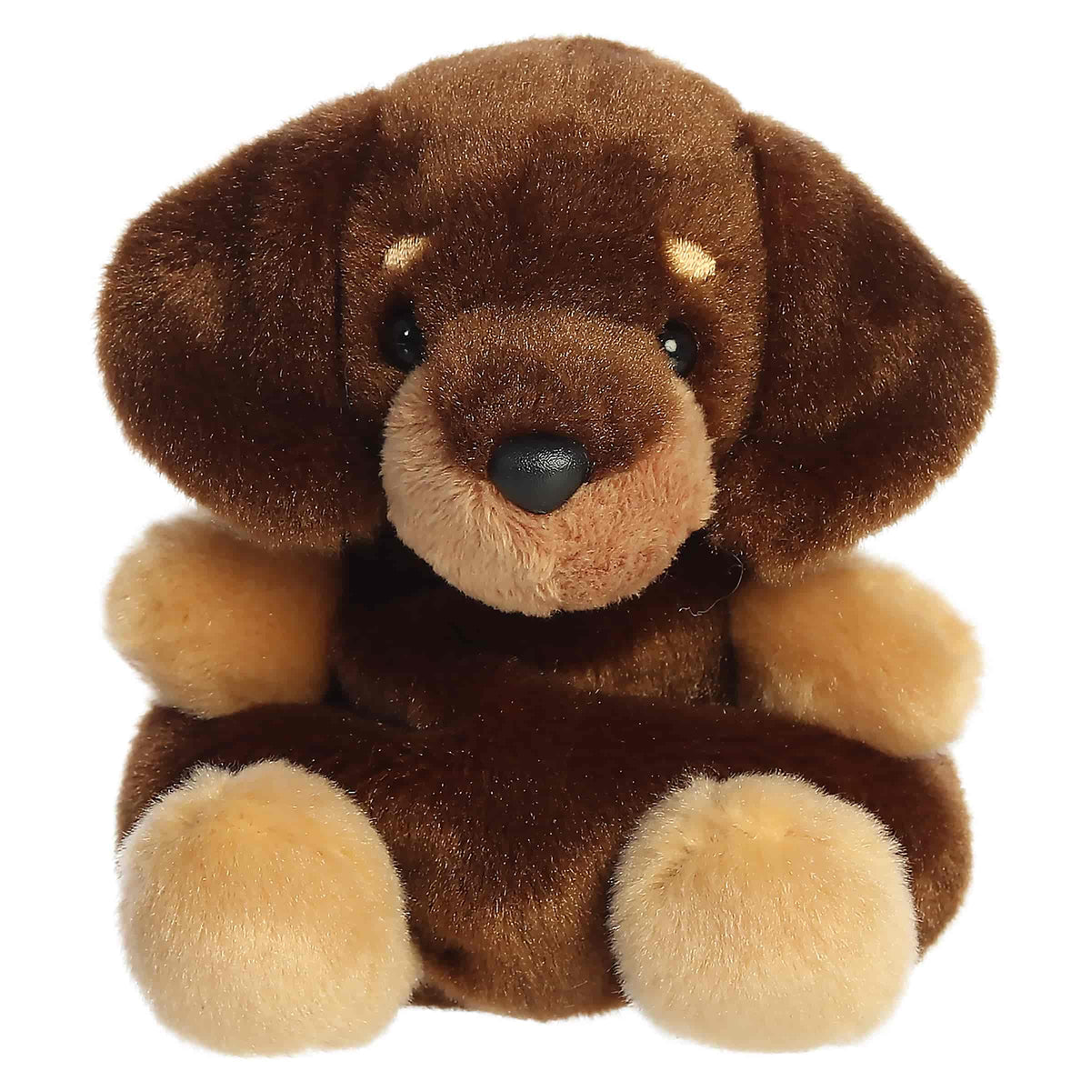 Palm Pals Houdini Dachshund 5"