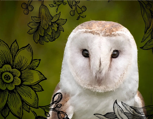 Ninnys Napkins : Barn Owl Decoupage 6.7x10.6" / 11.4x15.7"