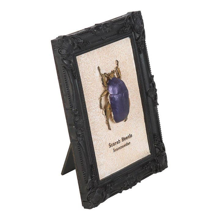 Something Different Wholesale Gothic Scarab Beetle Framed 3D Wall Art