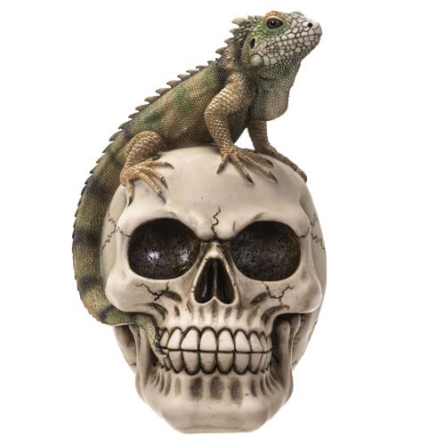 Iguana on Skull