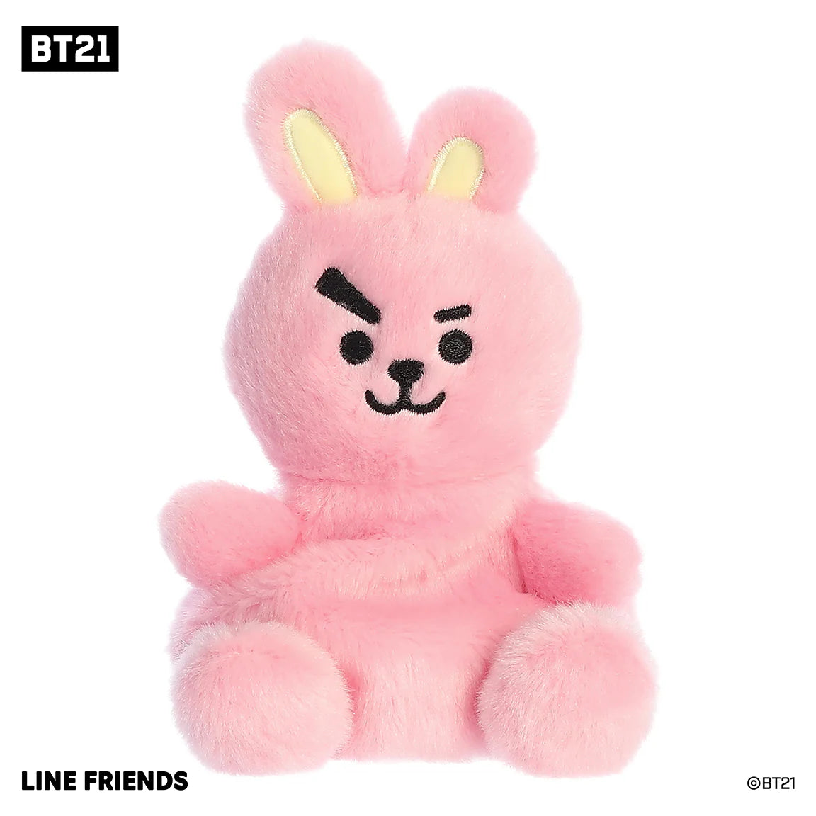 Palm Pal - BT21 - Cooky 5"