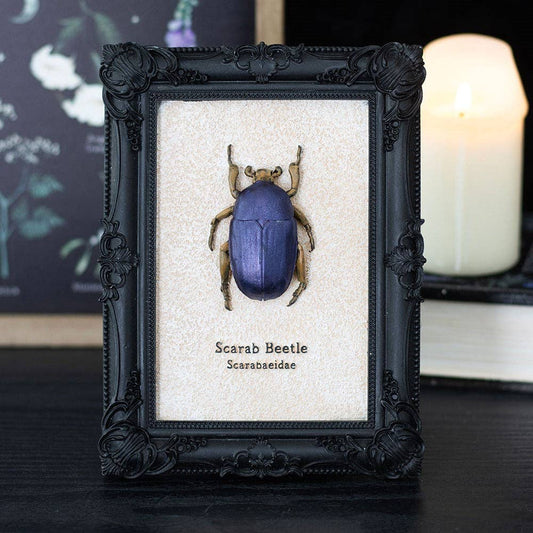 Something Different Wholesale Gothic Scarab Beetle Framed 3D Wall Art