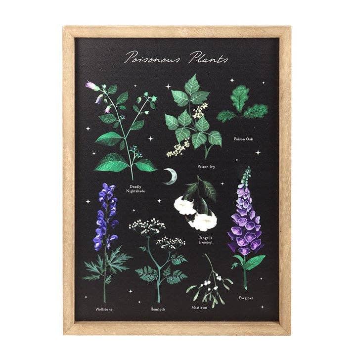 Something Different Wholesale Poisonous Plants Gothic Botanical Framed Wall Art Print