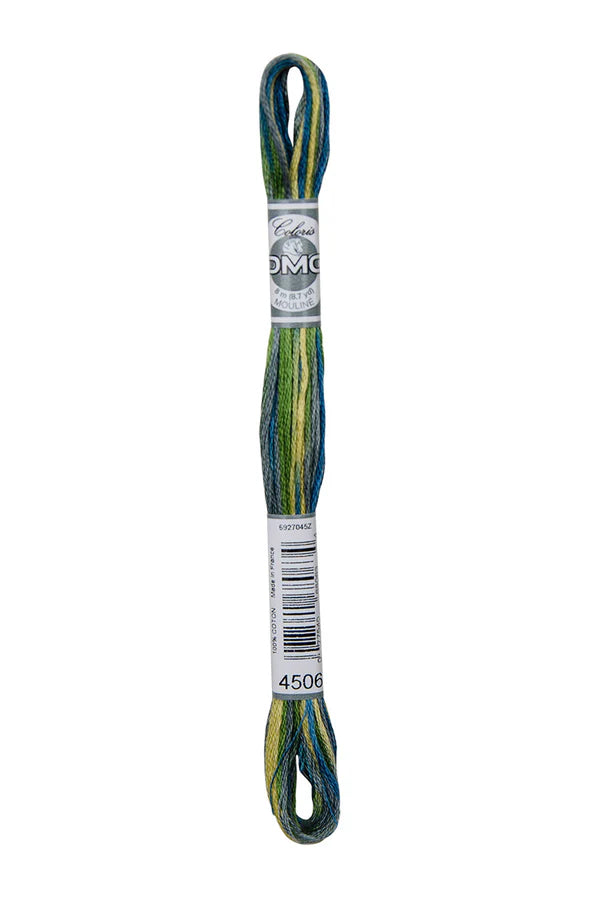 DMC Coloris 6-Strand 4500
