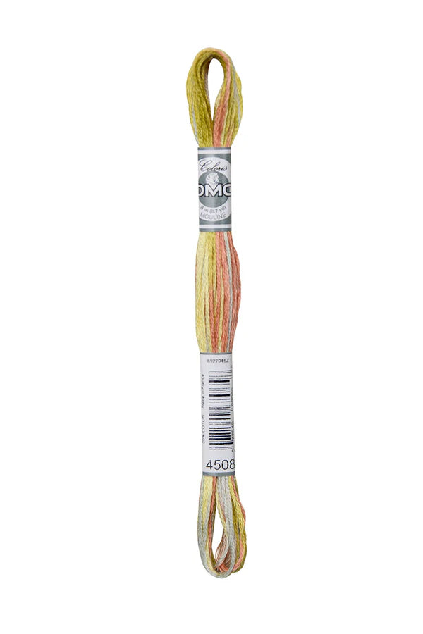 DMC Coloris 6-Strand 4500