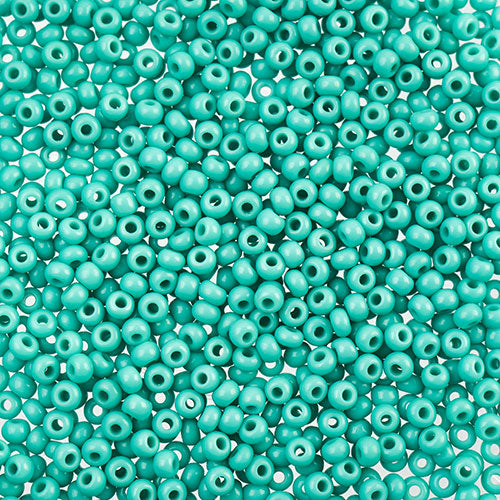 Czech Seed Beads 10/0 24g
