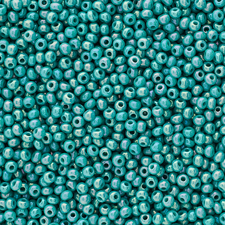 Czech Seed Beads 10/0 24g