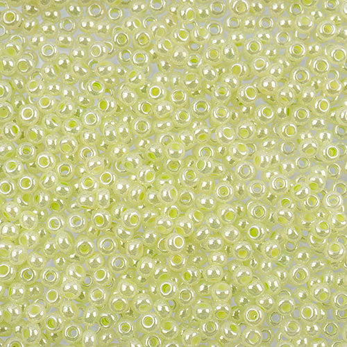 Czech Seed Beads 10/0 24g