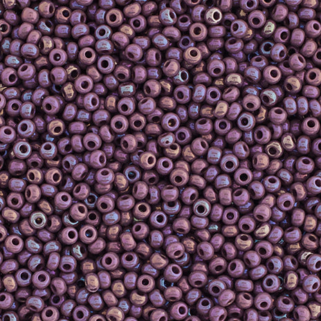 Czech Seed Beads 10/0 24g