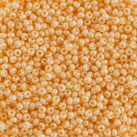 Czech Seed Beads 10/0 24g