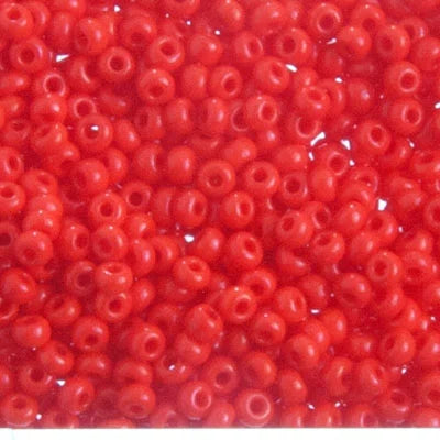 Czech Seed Beads 10/0 22g