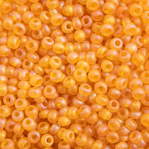 Czech Seed Beads 10/0 22g