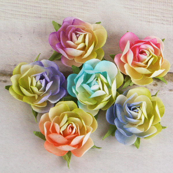 Prima Flowers Overture Joplin