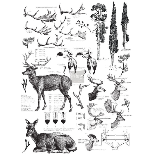 Re-Design With Prima Deer Transfer