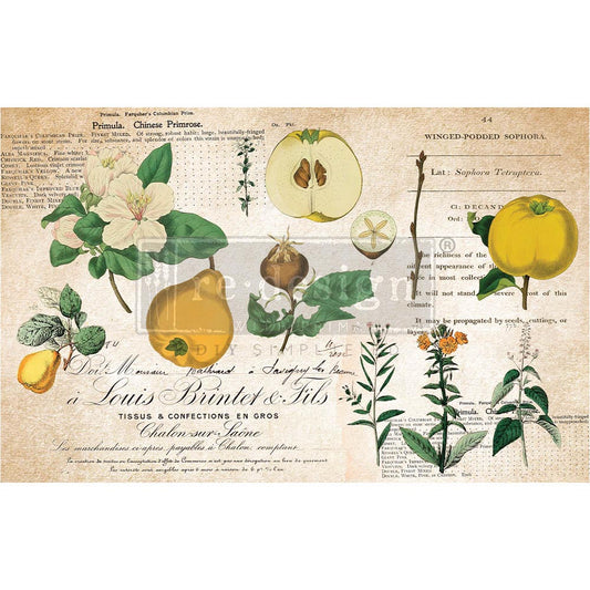 Re-Design With Prima® Decoupage Decor Tissue Paper - Primrose 19.5x30"