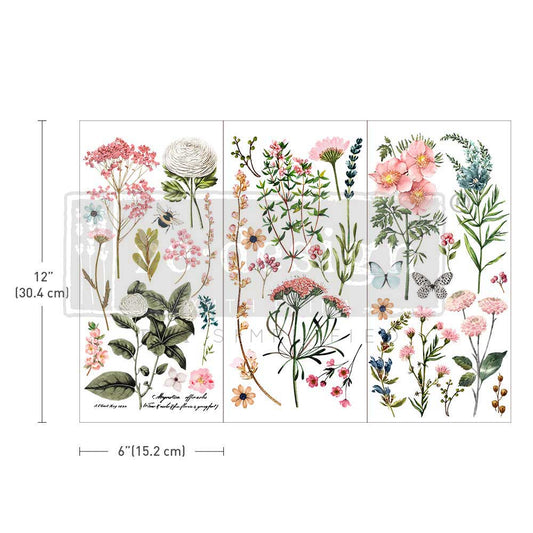 Redesign Decor Transfer Botanical Paradise