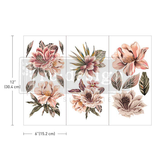 Decor Transfer Exotica