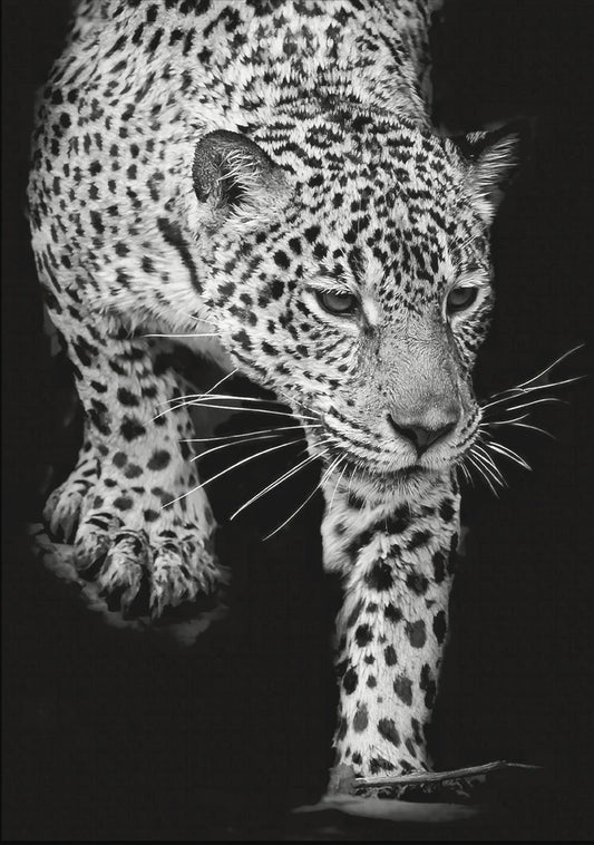 Re-Design With Prima® A1 Decoupage Fiber - Feline Gaze 23.4x33.1"