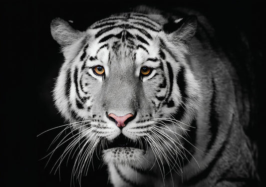 Re-Design With Prima® A1 Decoupage Fiber - Monochrome Majesty 23.4x33.1"