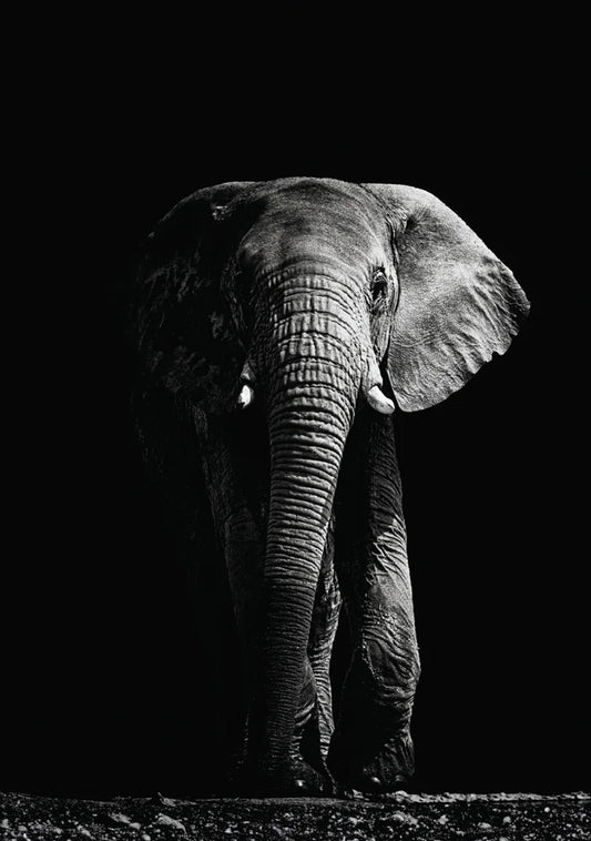 Re-Design With Prima® A1 Decoupage Fiber - Shadows of Wisdom 23.4x33.1"