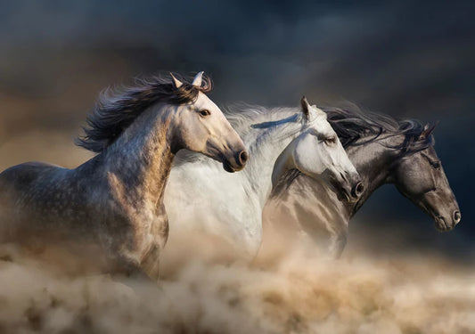 Re-Design With Prima® A1 Decoupage Fiber - Wild Hearts Run Free 23.4x33.1"