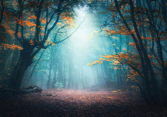 Re-Design With Prima® A1 Decoupage Fiber - Luminous Landscape 23.4x33.1"