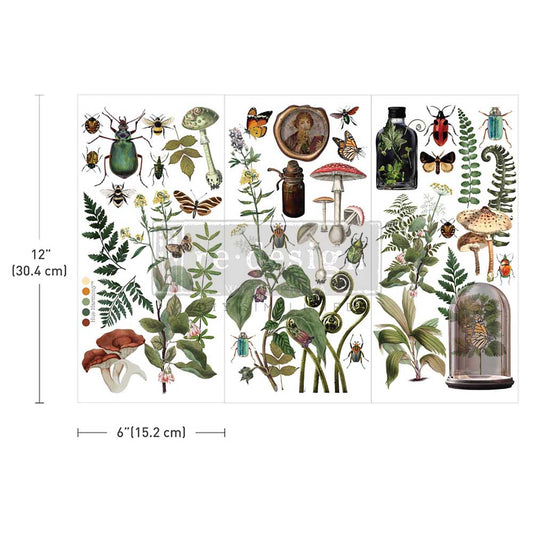 Redesign Decor Transfer Botanical Archives 6x12